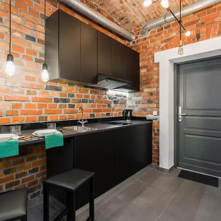 Apartment Level -1 Loft Center Kopernika